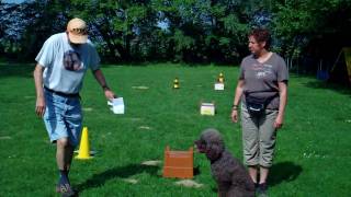 preview picture of video 'Rally Obedience Übungen: 46,44,23,28,32,33,34,35 - Lindhorst Seminar 2010'