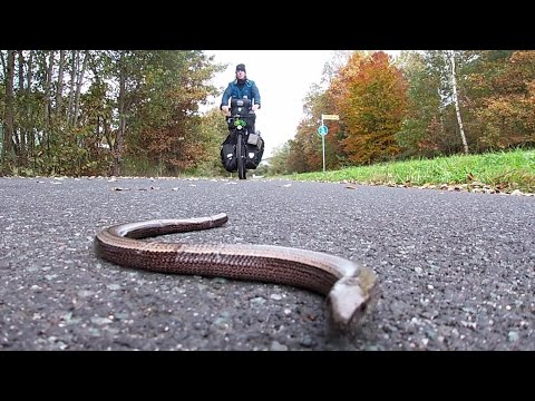 005 🚲 Weltreise 🚲 Fulda- Rhön- Mainradweg