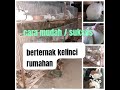 Cara Mudah Dan Sukses Berternak Kelinci Rumahan
