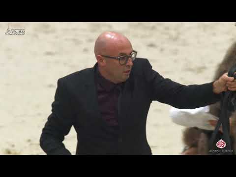 N 123 AMANI MONISCIONE   Paris 2019   Junior Colts Class 5B