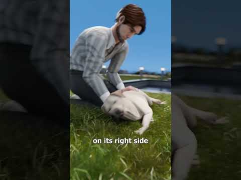How To Perform Dog CPR 😮