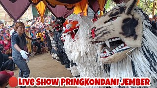 Download lagu SERU‼️CAN MACANAN BA LAKEK HAMDIANS 🔴 LIVE SHOW PRINGKONDANI JEMBER mp3
