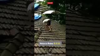 Download lagu Terpeleset Di Genteng 🤣🤣 #shorts #videolucu #videohiburan #ngakak #viral mp3