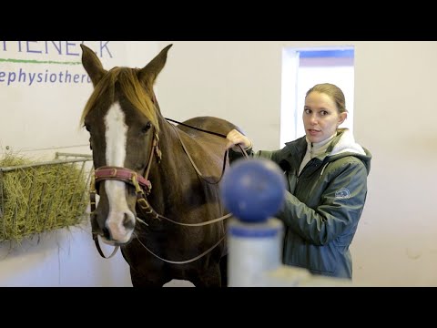 Stute beißt sich beim reiten - Baumloser Sattel im Check bei Ariane Telgen