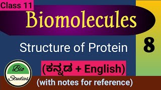 Class 11 - Biomolecules - Structure of Protein - 8