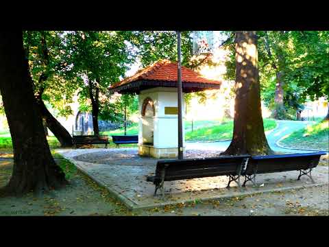 Campulung Muscel. Bughea de Jos. Cabana Barlogul Lupilor  2019. Romania 2019