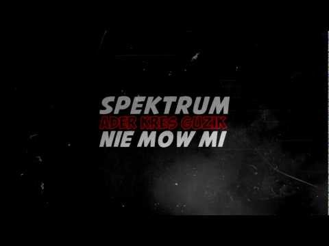 SPEKTRUM -  Nie mów mi (2013)