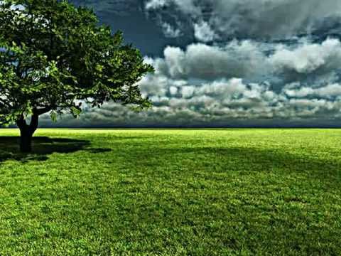 Harry Belafonte- Walking on the Green Grass