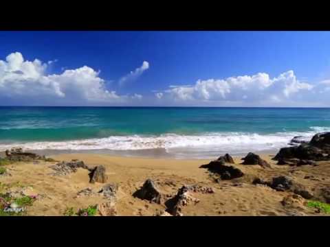 Wils Nmd -Away (Feat. Flav) -Relaxing remix 2017 video by Jacek