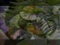 DBZ Broken Dreams