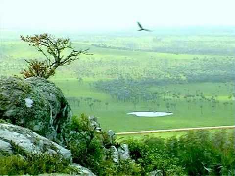 Los Olimareños,Cosas de Artigas