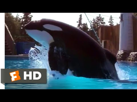 Free Willy (1993) - A Very Special Case Scene (2/10) | Movieclips (Free Willy (1993) - A Very Special Case Scene (2/10) | Movieclips)