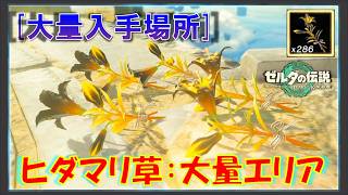 【ゼルダの伝説ティアキン】「ヒダマリ草」が大量に手に入る場所！瘴気の回復に役立ちます！