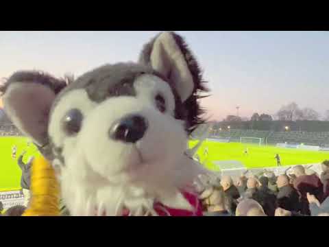 HANNI HOOLIGAN im Sportforum: BFC Dynamo - Tennis Borussia (1:0) am 22.04.2022