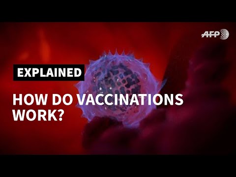 How do vaccines work? | AFP