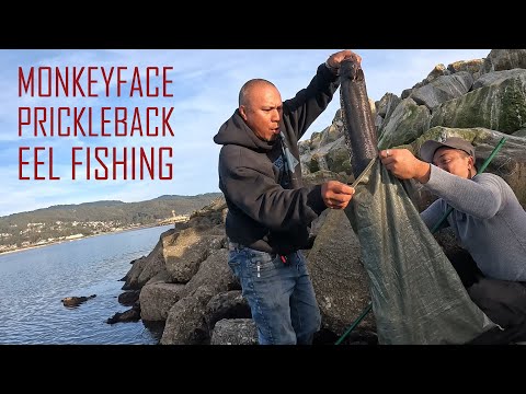 Eel Fishing at Half Moon Bay Jetty (Pillar Point) w/ Paq The OutKaster | ITGETSREEL Episode 191