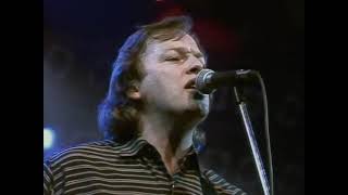 David Gilmour - Blue Light Live 1986