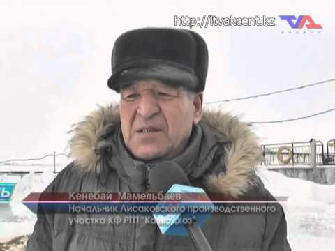 Выпуск программы «День» от 24 февраля 2016г.