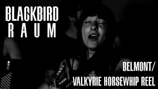 Blackbird Raum // Belmont/Valkyrie Horsewhip Reel (Session) | Mouser