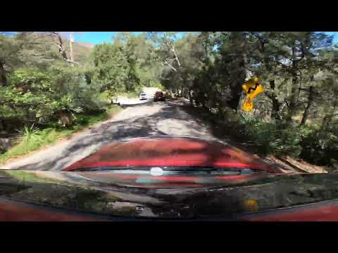 Madera Canyon