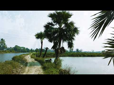 Nature Video | Sudipta Pal |