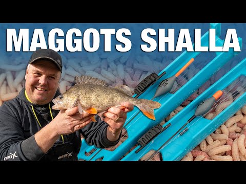 Maggot Shallow Rig | No Nonsense Guide | Jamie Hughes