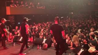 BIGWIG x Sink or Swim