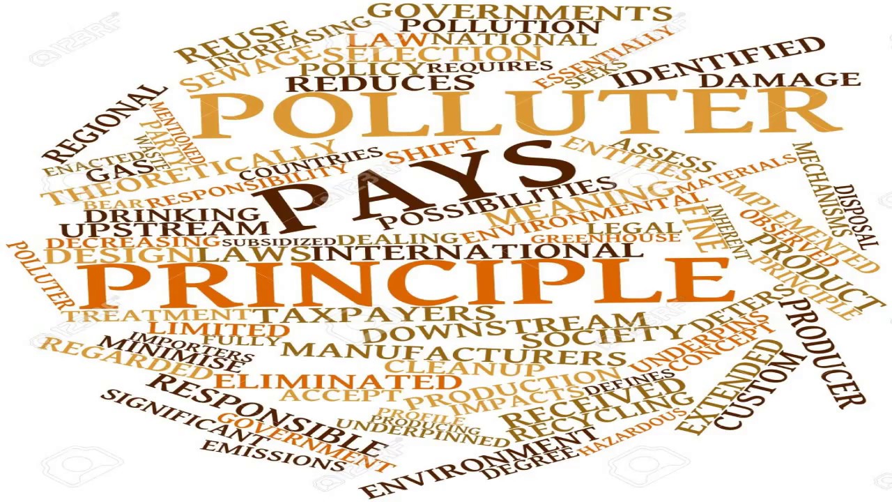 Polluter Pays Principle and the Environment