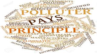 Polluter Pays Principle and the Environment