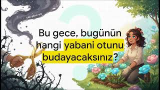 Dünü Yeniden Yazmak. Revizyon Budama Makası. Neville Goddard'ı anlaman