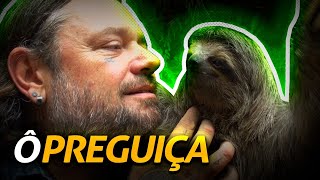 Miniatura do vídeo