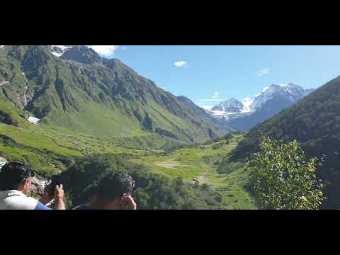 Valley of flower in Uttarakhand.