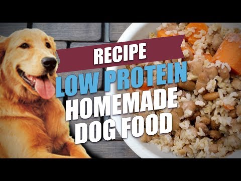 Low Protein Homemade Dog Food Recipe (Cheap and Healthy)