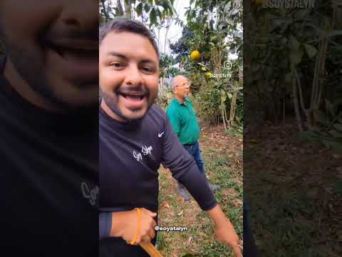 CURIMAGUA el PARAISO cerquita de las estrellas ✨ mi recomendación de hoy FLORES DE SALOMÉ 🌺