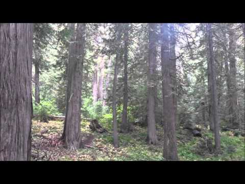 Arkheron Thodol - Reins