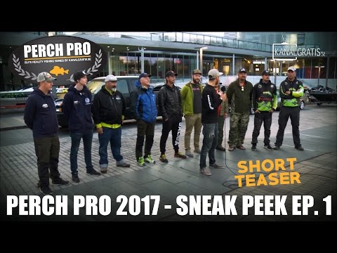 Perch Pro 2017 - Sneak Peek Ep. 1 - First Glimpse