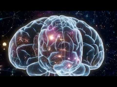 Danny's Philosophical Odyssey