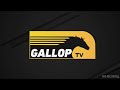 20251005 Gallop TV Selection Show Hollywoodbets Durbanville