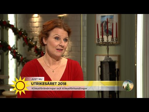 Utrikesåret 2018: ”Det blir bättre i världen även om det är svårt att se” - Nyhetsmorgon (TV4)