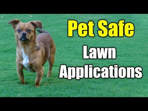 YouTube video about: How long after fertilizing lawn is it safe for pets?