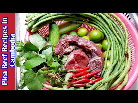 Culinary Cooking, homemade food, Phlea Beef Recipes in Cambodia