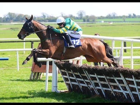 Roxboro Road - 2019 Fairyhouse Novice Handicap Hurdle (Build Up, Race & Reaction)