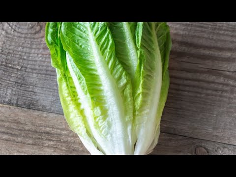 Put A Romaine Heart In Water And Watch What Happens