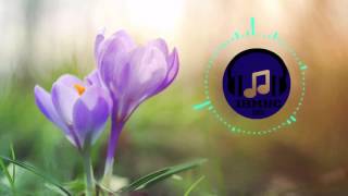 Manu Lei - Take My Hand (feat. Noctilucent & Tiffany Wiemken) (Yoe Mase Remix) 1 Hour