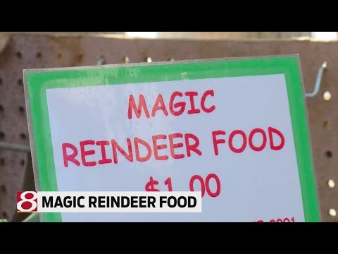 Magic Reindeer Food
