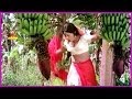 I Love You Telugu Full Length Movie Chiranjeevi Suvarna Part 6