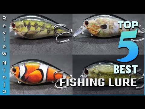 Top 5 Best Fishing Lures Review in 2022