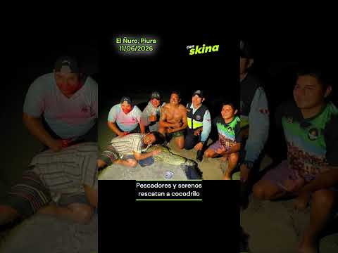 Rescatan a cocodrilo en playa El Ñuro, Piura