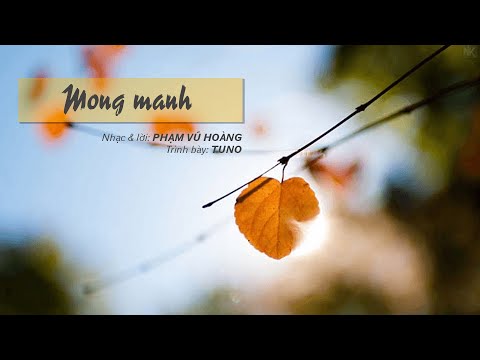 Mong manh - Tuno