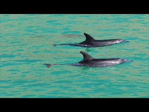 FPB 83 Wind Horse: Mexico & Sea of Cortez Slideshow